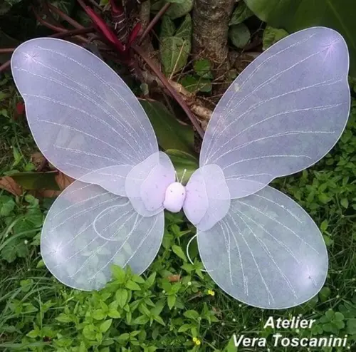 Asa de borboleta