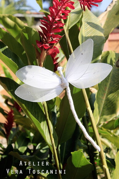 Libélula para Decoração