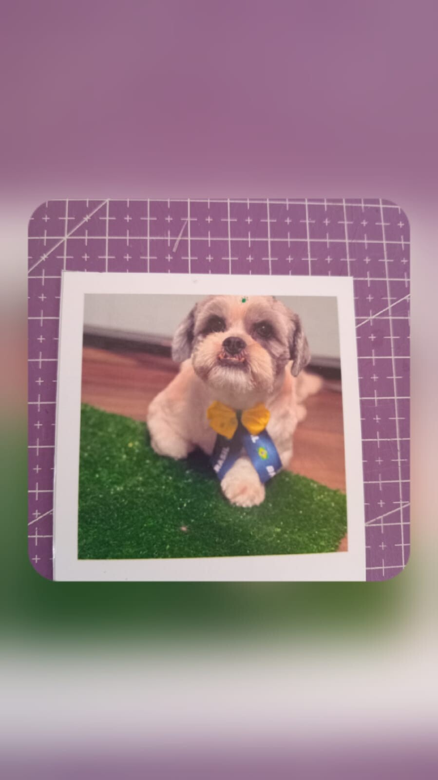 📷 Fotos Polaroid Personalizadas | Revelação de Fotos Premium