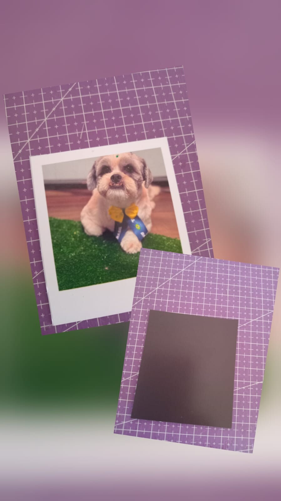 📷 Fotos Polaroid Personalizadas | Revelação de Fotos Premium