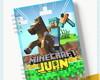 Arquivo Digital Caderneta de Saúde Minecraft