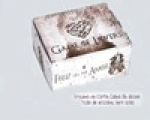 Arquivo Digital Caixa dia dos namorados Studio