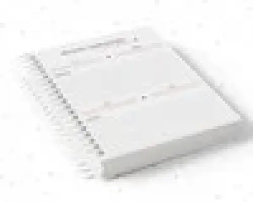 Arquivo Digital Diário da Gestante Menina