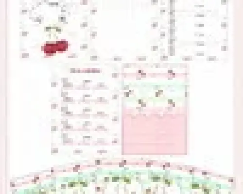 Arquivo Digital Caderneta Saúde Cerejinha