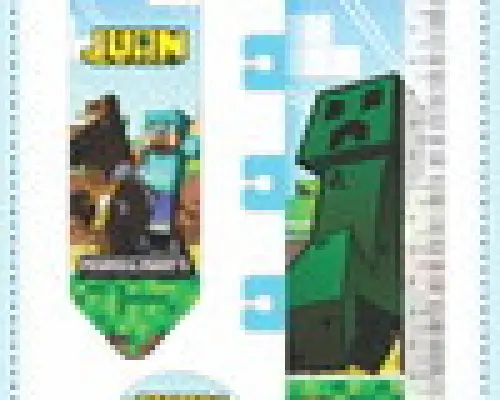 Arquivo Digital Caderneta de Saúde Minecraft