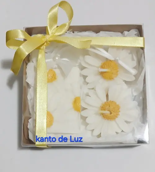 Kit Caixa Vela Margarida