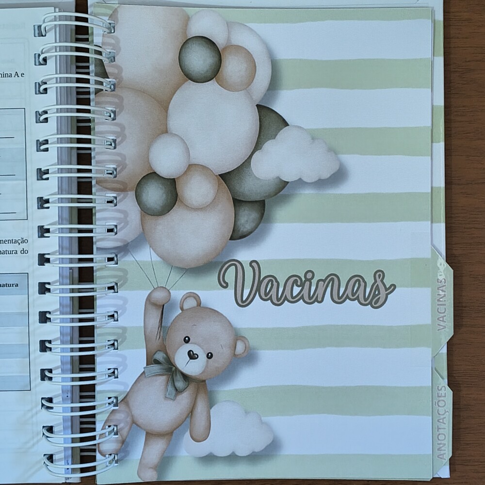 Caderneta de Saúde Personalizada - Tema Ursinho com Balões
