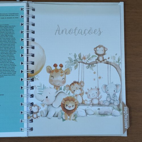 Caderneta de Saúde Personalizada - Tema Safari Baby
