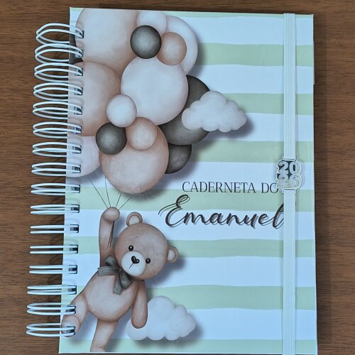 Caderneta de Saúde Personalizada - Tema Ursinho com Balões