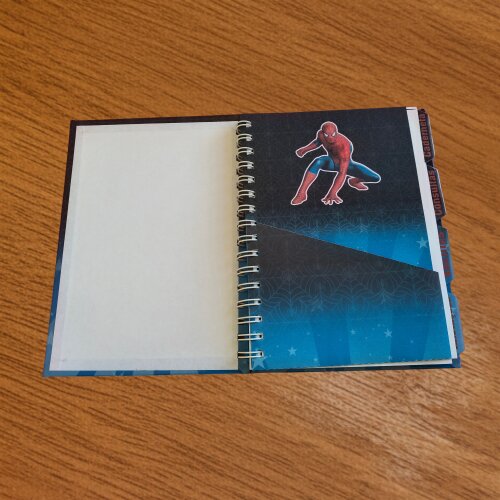Caderneta de Saúde Personalizada - Tema Homem Aranha