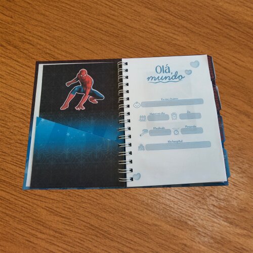 Caderneta de Saúde Personalizada - Tema Homem Aranha