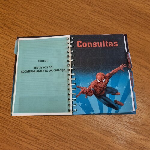 Caderneta de Saúde Personalizada - Tema Homem Aranha