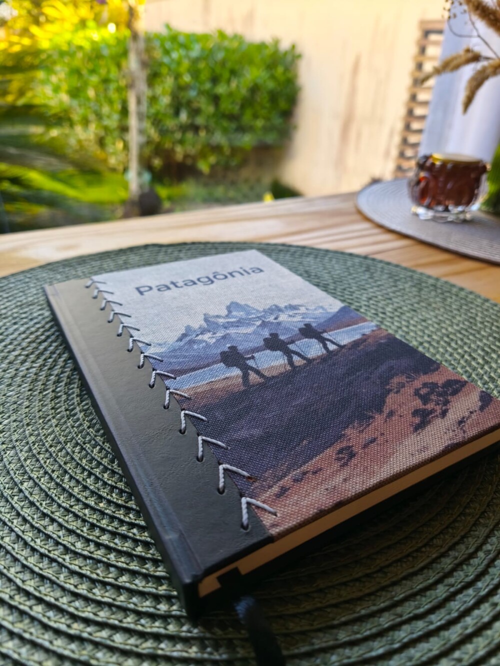Diário de Viagem Patagônia - Memórias