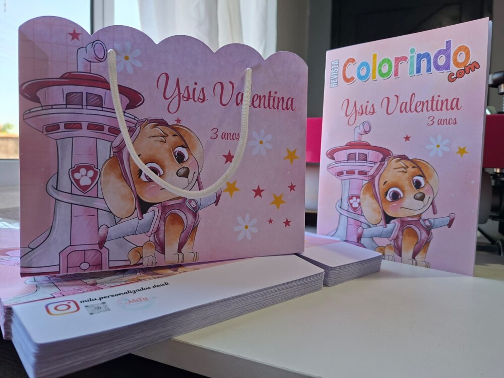 SACOLA PERSONALIZADA LEMBRANÇA ANIVERSÁRIO SKYE