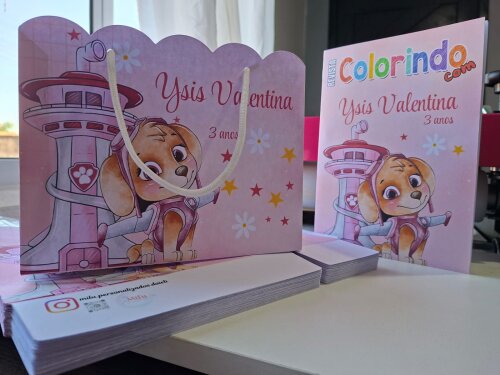 SACOLA PERSONALIZADA LEMBRANÇA ANIVERSÁRIO SKYE