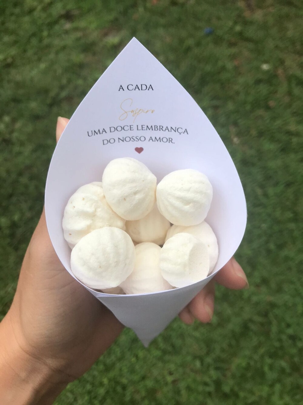 50 Cones para Petalas ou Mini Suspiros para Casamento