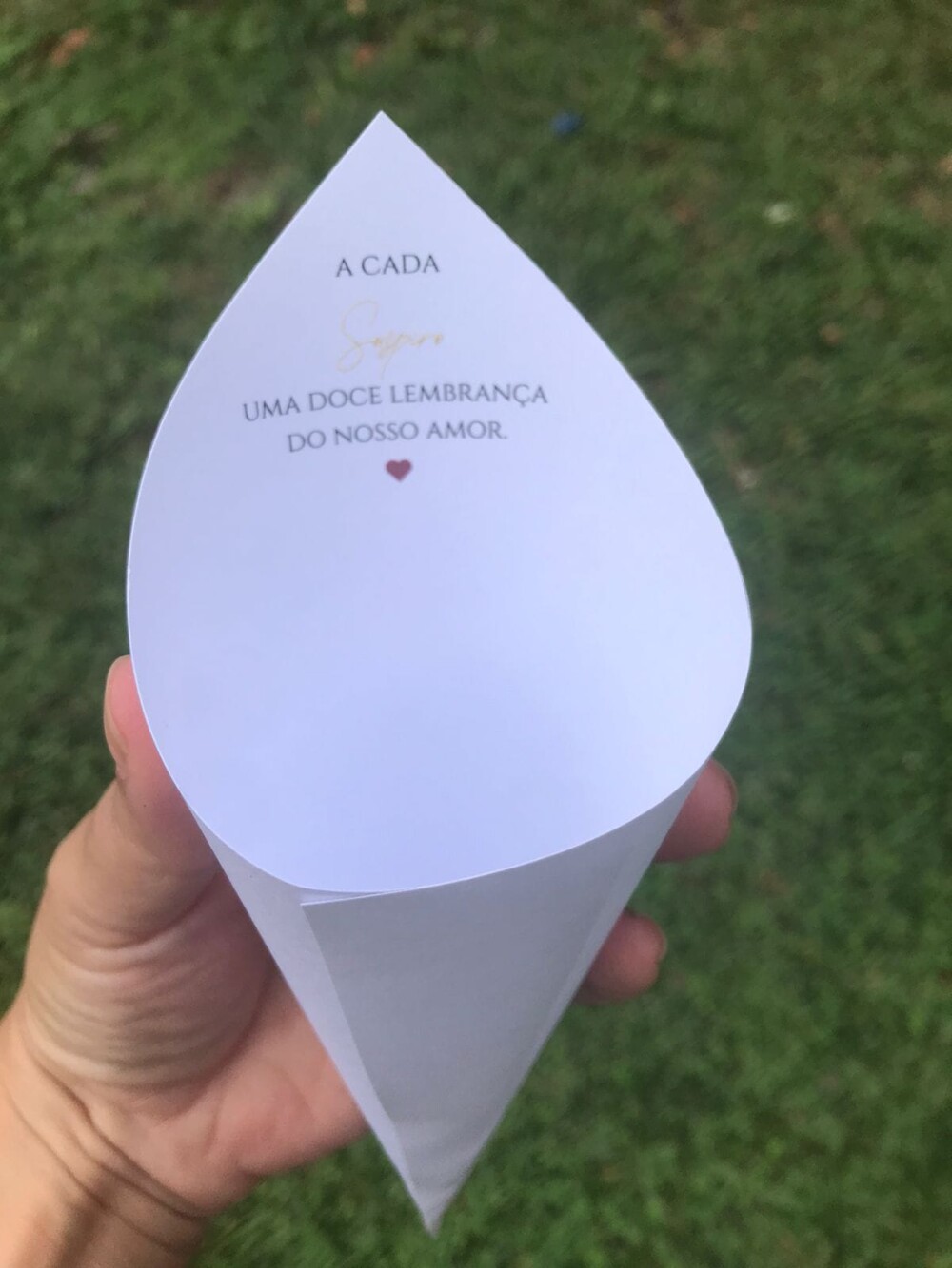 50 Cones para Petalas ou Mini Suspiros para Casamento