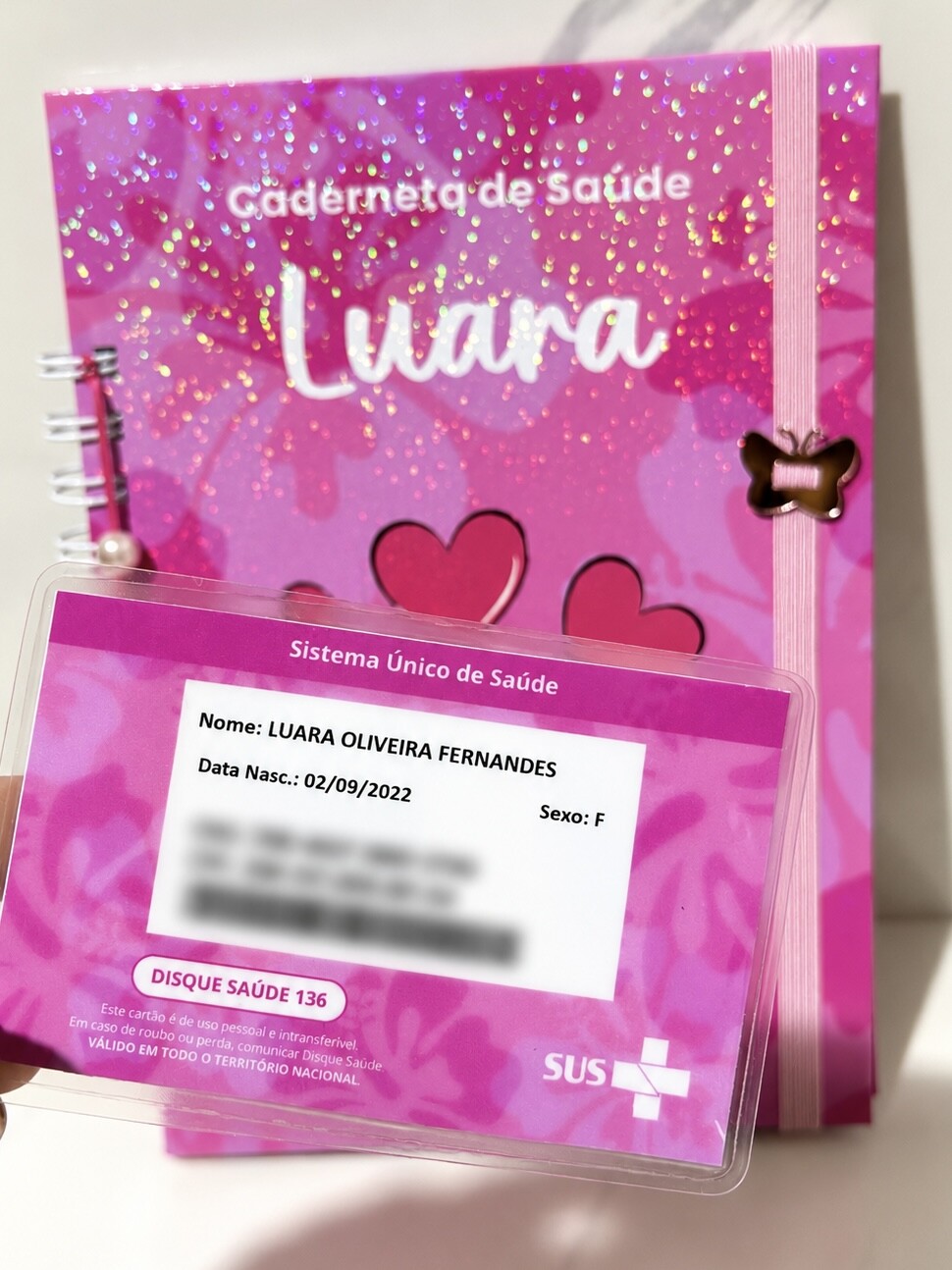 Kit Caderneta de Saúde Personalizada | Miolo Original do SUS + C