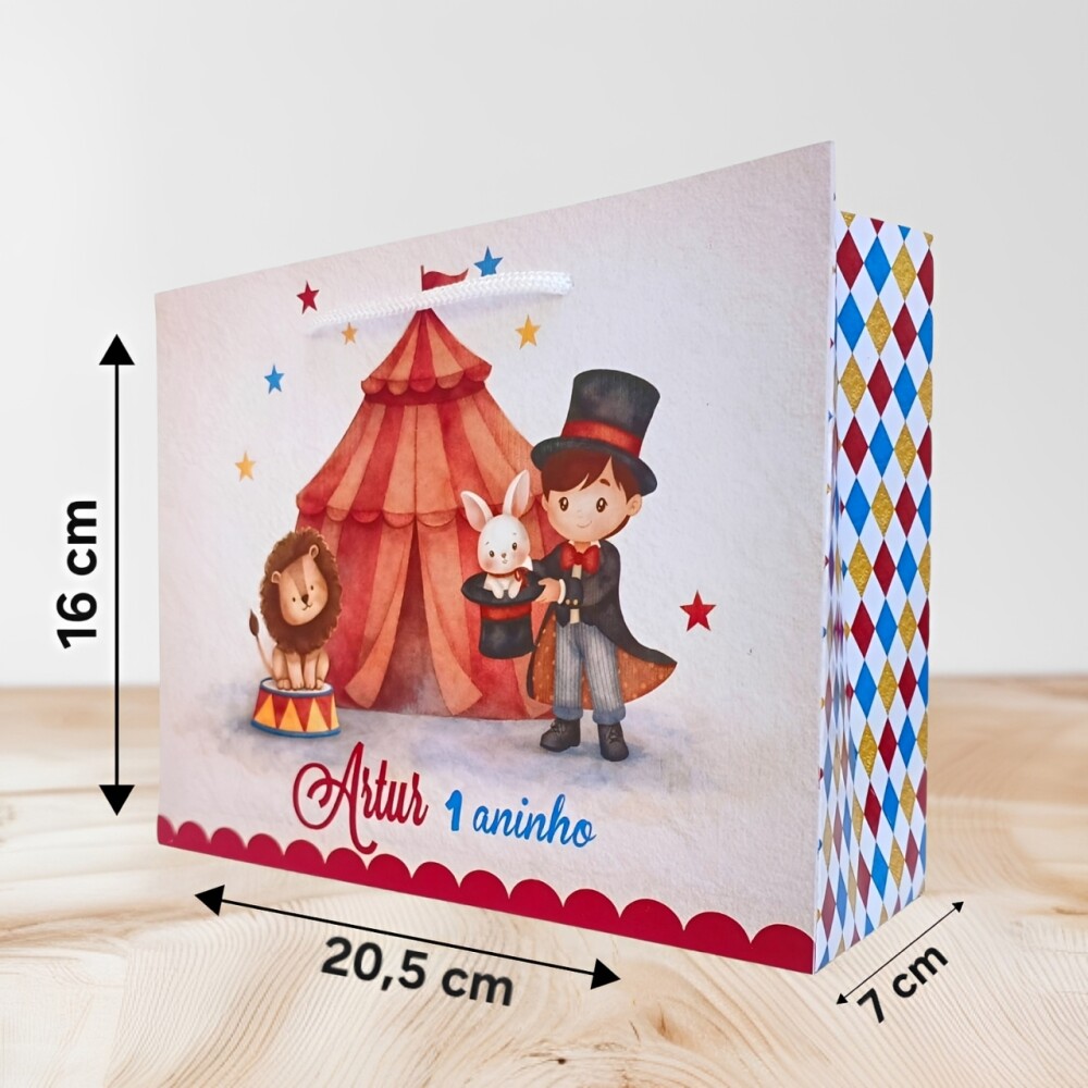 10 SACOLA PERSONALIZADA CIRCO / sacola circo / sacola supressa / 