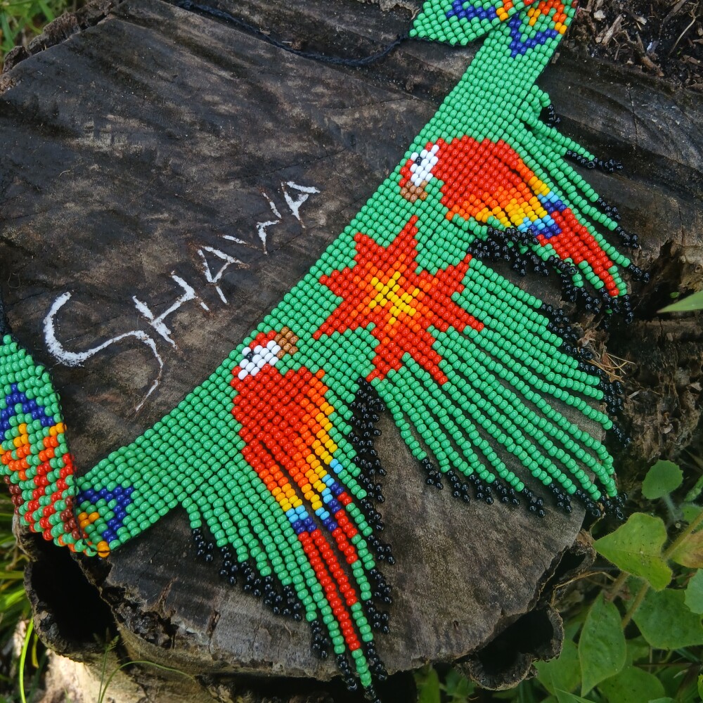 Colar de miçanga de arara