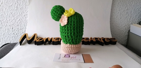 Vaso de Cactus Crochê Amigurumi