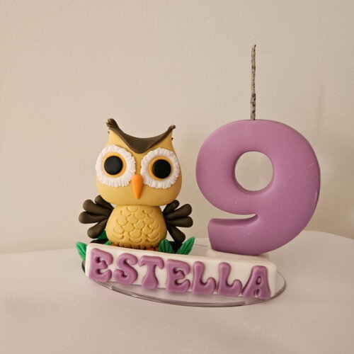 Topo com Vela Corujinha Biscuit