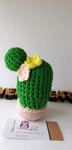 Vaso de Cactus Crochê Amigurumi