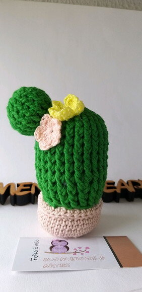 Vaso de Cactus Crochê Amigurumi