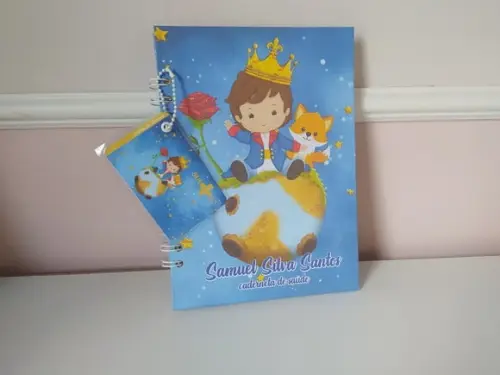 Caderneta de Vacinação Pequeno Príncipe + Brinde