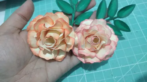 Arquivo de Corte Rosa Aurora