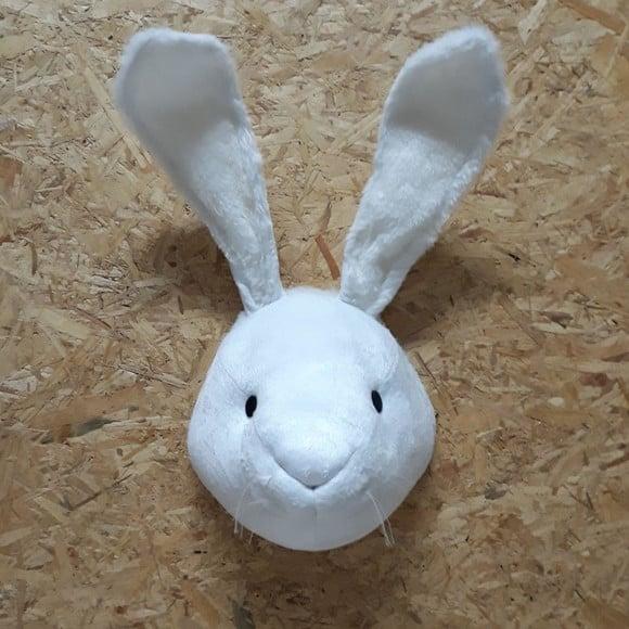 Cabeça de Coelho Falsa Taxidermia.