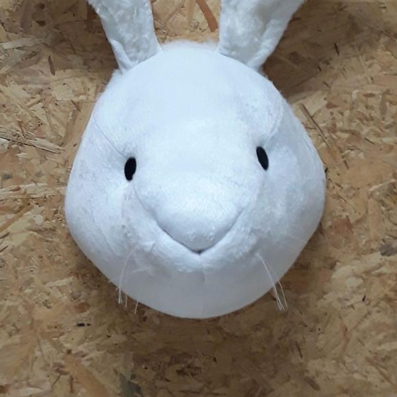 Cabeça de Coelho Falsa Taxidermia.