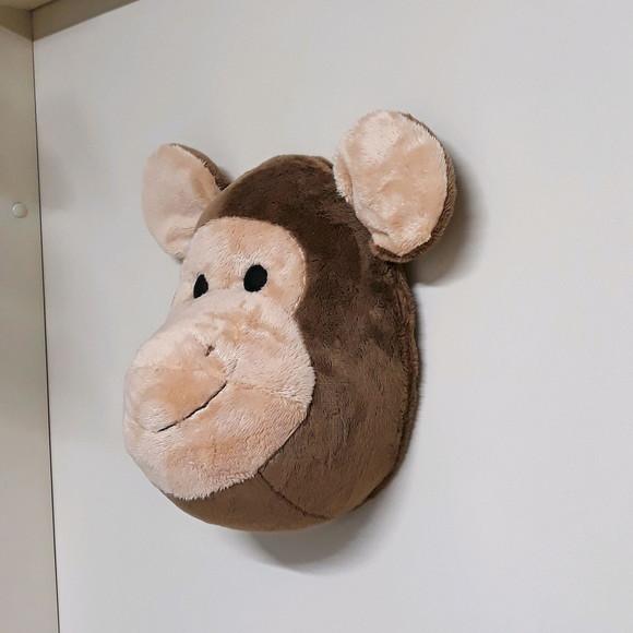 Cabeça de Macaco Falsa Taxidermia