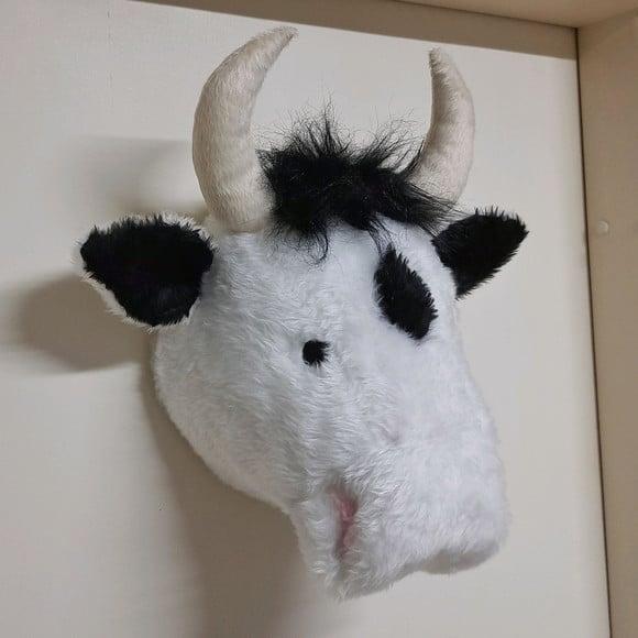 Cabeça de Vaquinha Falsa Taxidermia