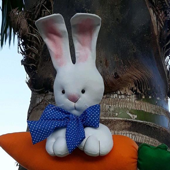 Coelho de Páscoa na Cenoura