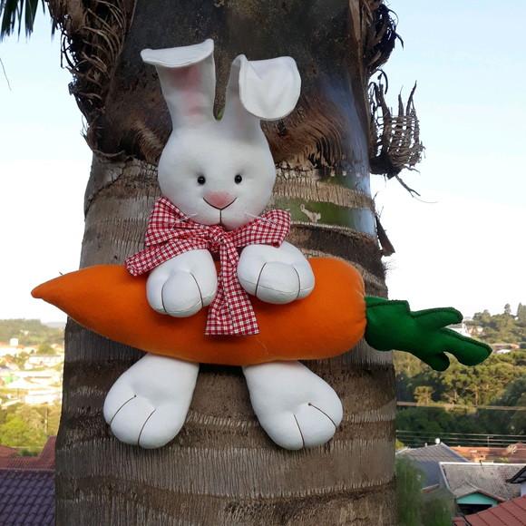 Coelho de Páscoa na Cenoura