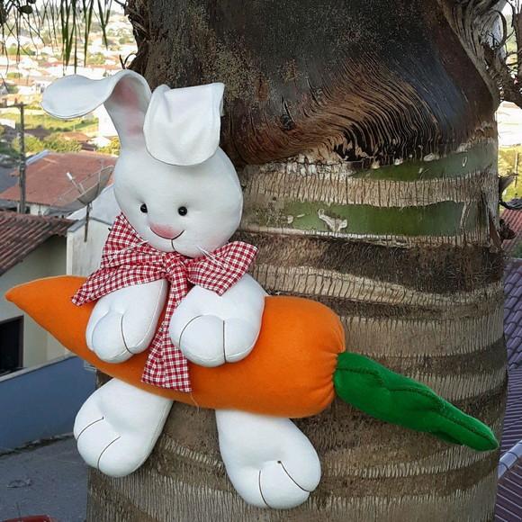 Coelho de Páscoa na Cenoura