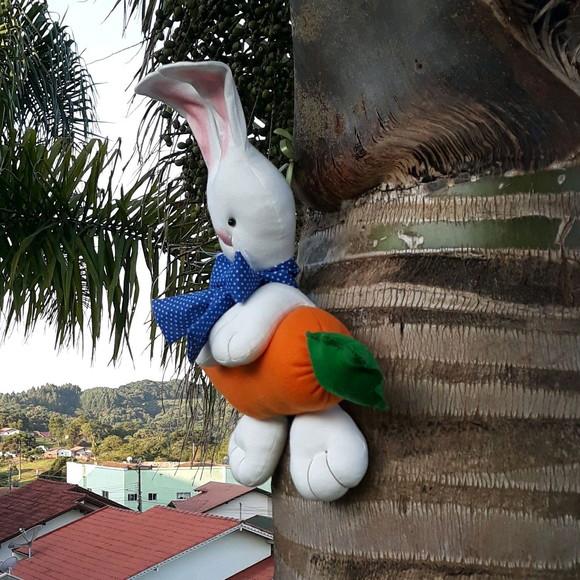 Coelho de Páscoa na Cenoura