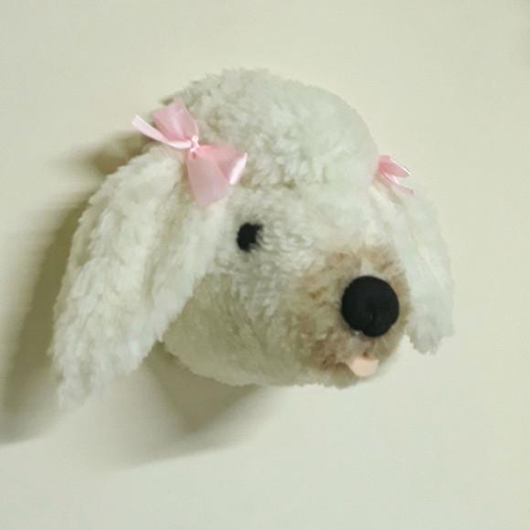 Falsa Taxidermia Cachorro