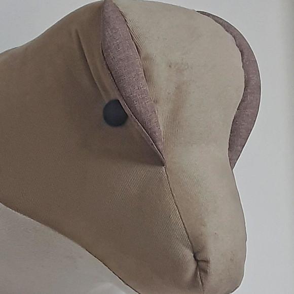 Falsa Taxidermia Dinossauro