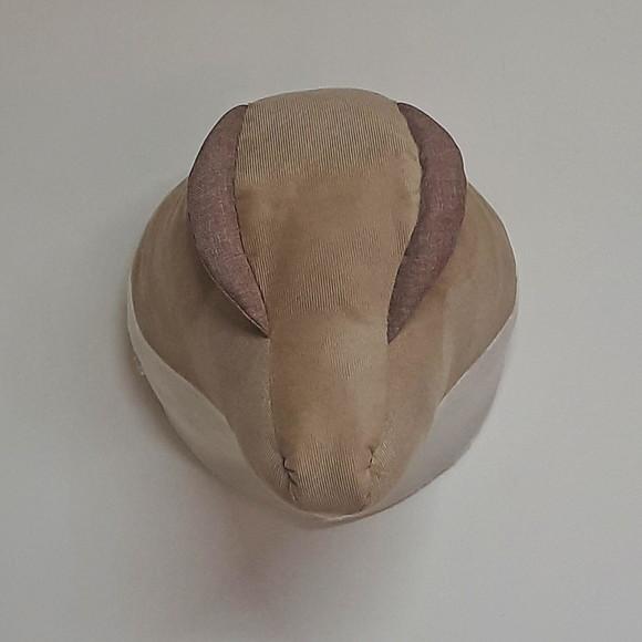 Falsa Taxidermia Dinossauro