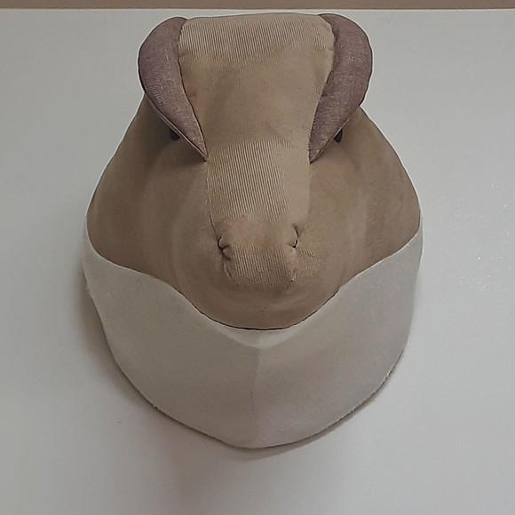Falsa Taxidermia Dinossauro