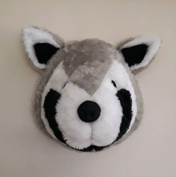 Guaxinim Falsa Taxidermia