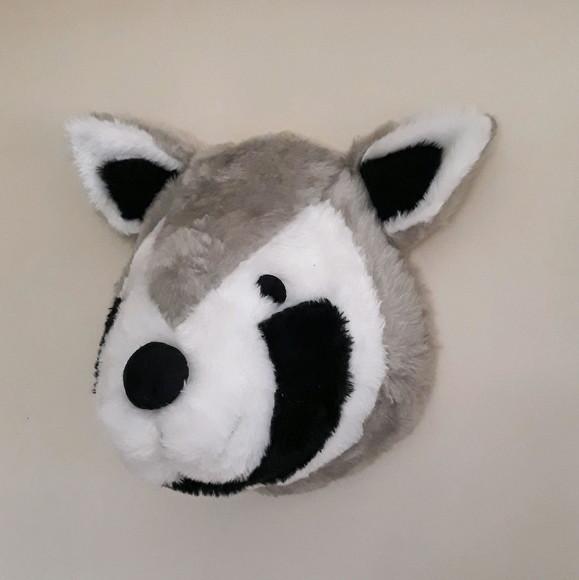 Guaxinim Falsa Taxidermia