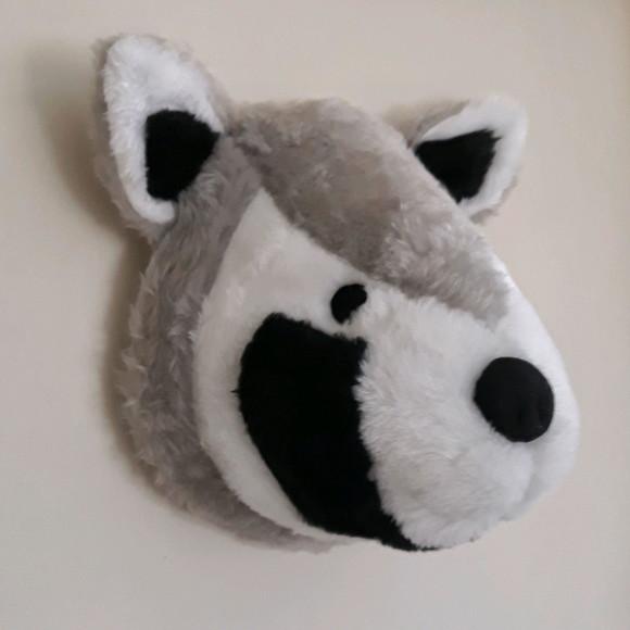 Guaxinim Falsa Taxidermia
