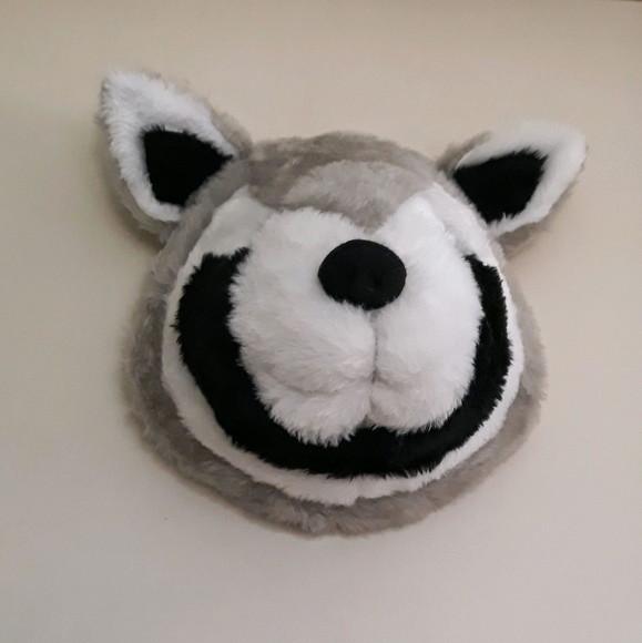 Guaxinim Falsa Taxidermia