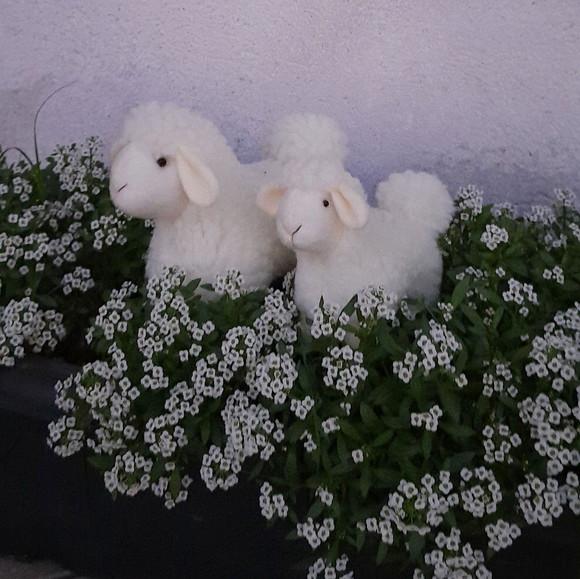 Kit Carneirinhos 3 Peças