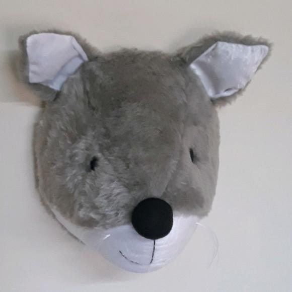 Raposa Taxidermia