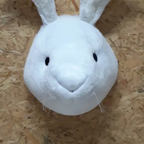 Cabeça de Coelho Falsa Taxidermia.