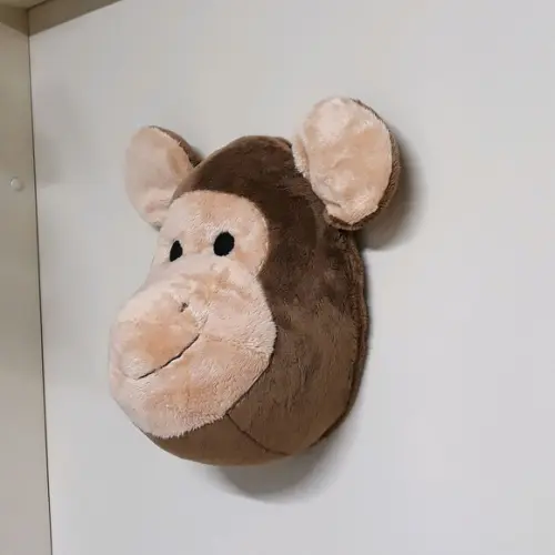Cabeça de Macaco Falsa Taxidermia